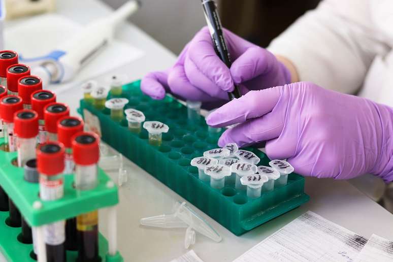 Evento 'Fronteiras da Oncologia', da Sociedade Brasileira de Oncologia Clínica (SBOC), tem como objetivo apresentar os principais avanços no tratamento contra o câncer