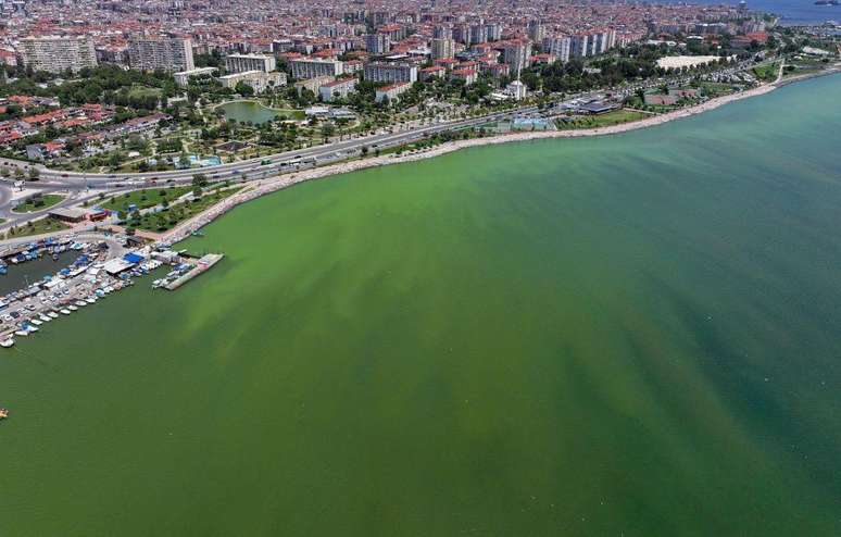 Em Izmir, na Turquia, a cor do oceano mudou para verde e marrom depois da explosão de plâncton em junho de 2024