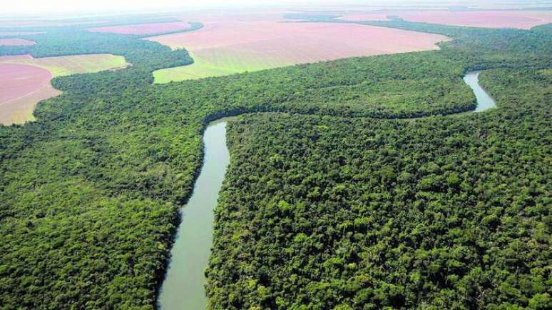 Brasil recebeu pontuação mais alta entre 26 países que enviaram propostas ao fundo