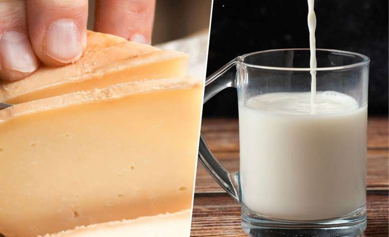 Not all Lattiero -Caseari products affect the microbiota in the same way: the study confirms the differences between milk consumption and cheese consumption