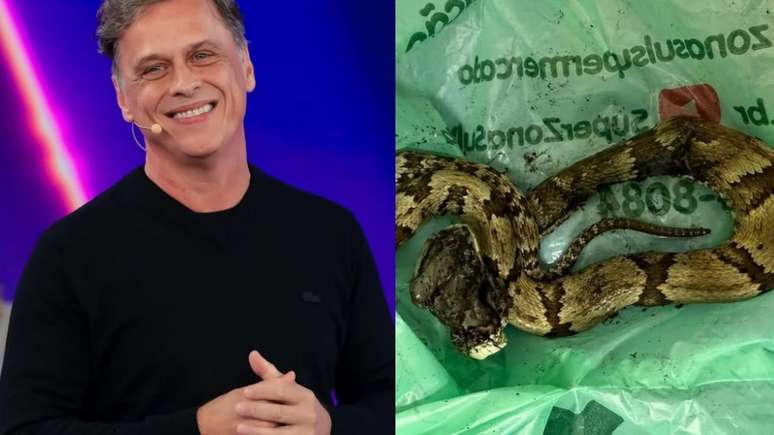 Guilherme Fontes warns after the snake bite
