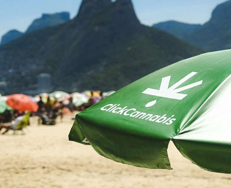 Click Cannabis grows 7 times and objectives R $ 30 million with accessible CBD Click Cannabis grows 7 times and objectives R $ 30 million with accessible CBD