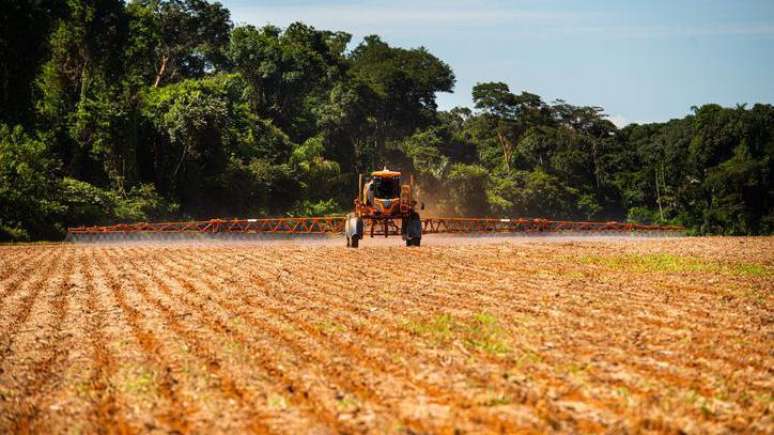 Trabalho em andamento investiga se um agrotóxico específico 'turbinou' microcefalia no surto de zika na região Centro-Oeste