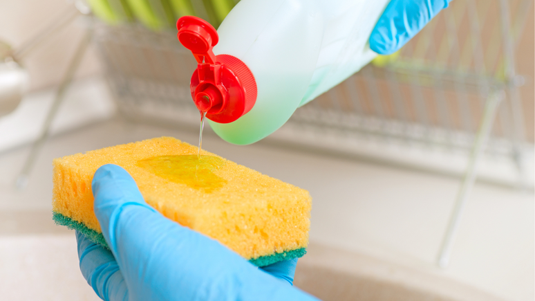 Estudos apontam que uma única esponja pode acumular milhares de bactérias, aumentando o risco de infecções alimentares