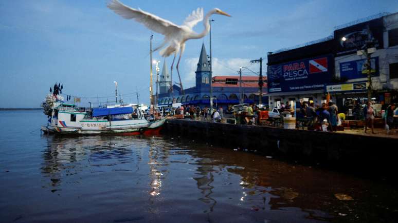 Aumenta a expectativa para a realização da COP30 deste ano, a ser realizada em Belém do Pará.