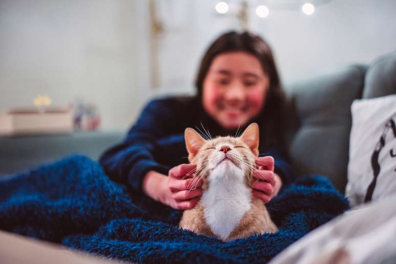 Assistência pet traz vários benefícios; conheça