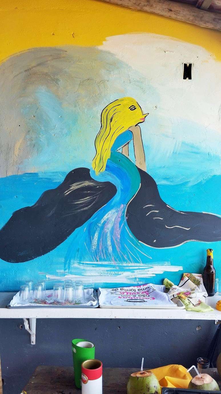 As pinturas feitas à mão trazem elementos da cultura local, como peixes e sereias em localidades litorâneas — essa foi fotografada em Alcobaça (BA)