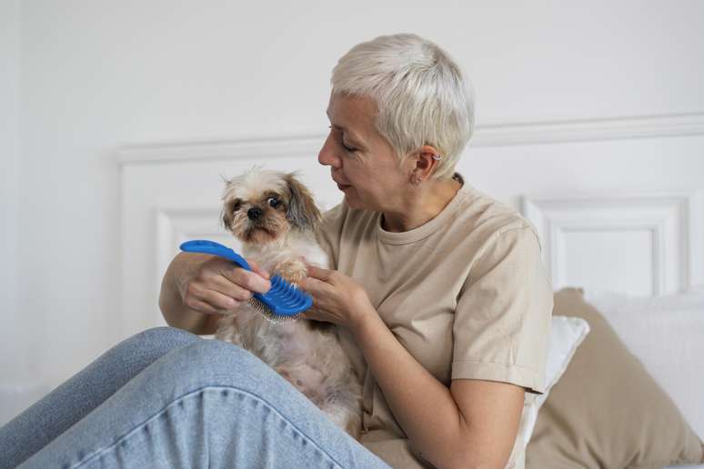 Veja opções de cachorros dóceis e calmos, ideias para tutores idosos
