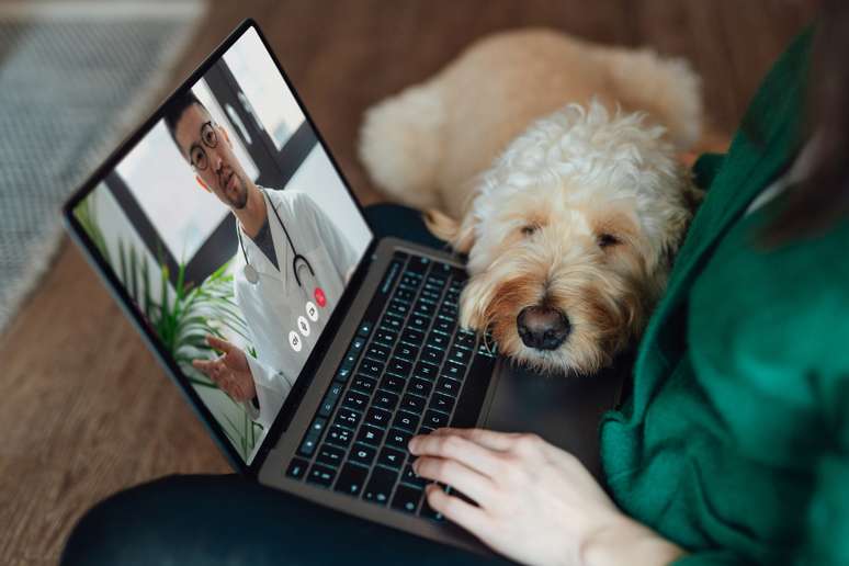Did you know there is telemedicine for PET? The appeal assists treatments and emergencies for animals