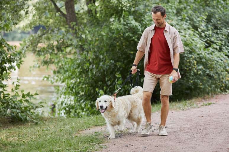 Light excursions are important for the physical and mental health of elderly animals Light excursions are important for the physical and mental health of elderly animals