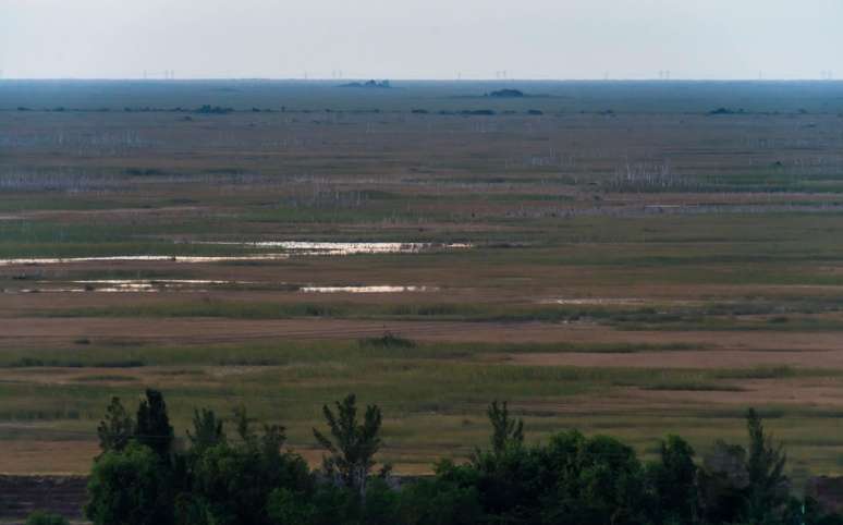 Os pântanos dos Everglades da Flórida, vistos de cima, mostram uma vastidão que chega ao infinito.