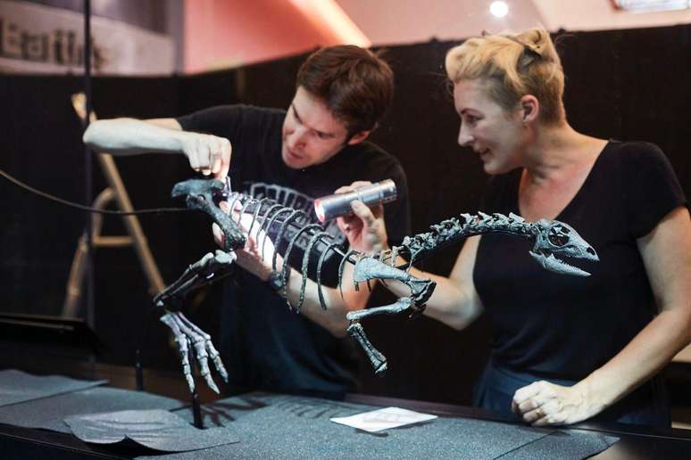 Os restos fossilizados s&atilde;o os mais completos do mundo dos primeiros dinossauros de pequeno porte