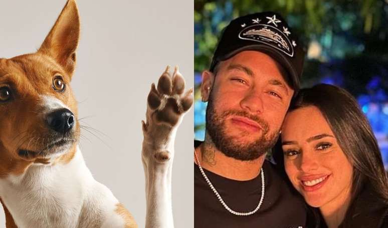 It is one of the 3 most loved names in Brazil by the owners of animals