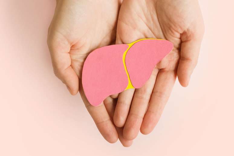 O fígado é responsável por funções vitais no corpo humano 