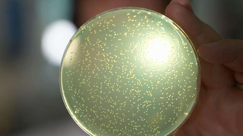 Scientists will begin to develop tools to create increasing sections of human DNA Scientists will begin to develop tools to create increasing sections of human DNA
