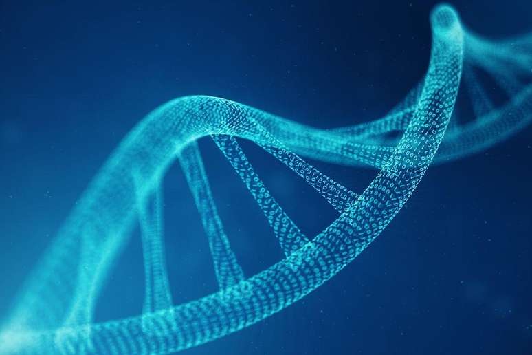 The controversial project to be created by the Zero Artificial DNA The controversial project to be created by the Zero Artificial DNA