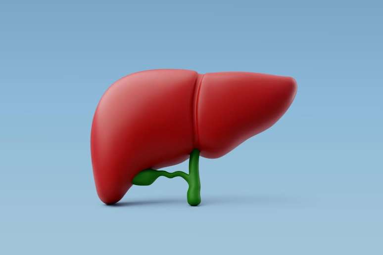 A gordura no fígado pode ser prejudicial para a saúde