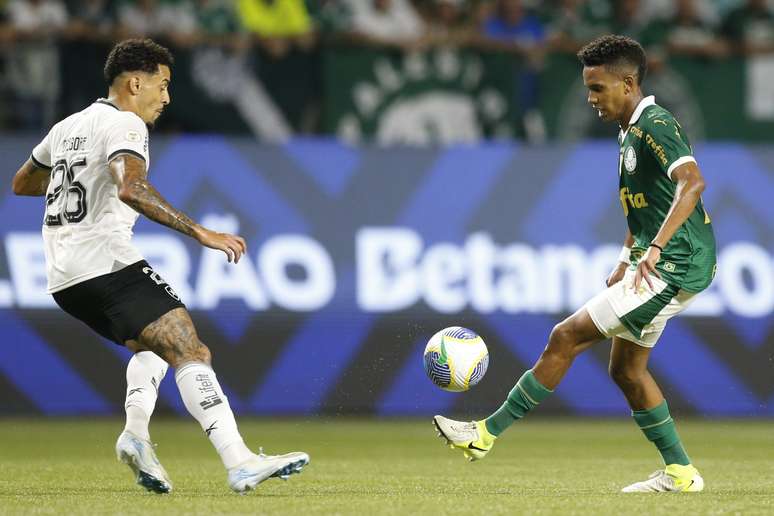 Palmeiras x Botafogo no Allianz Parque pelo Brasileir&atilde;o de 2024. (Photo by Miguel Schincariol/Getty Images)
