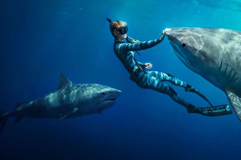 &ldquo;Encantadora de Tubar&otilde;es&rdquo; acompanha a conservacionista e ativista Ocean Ramsey em sua jornada para defender os tubar&otilde;es 