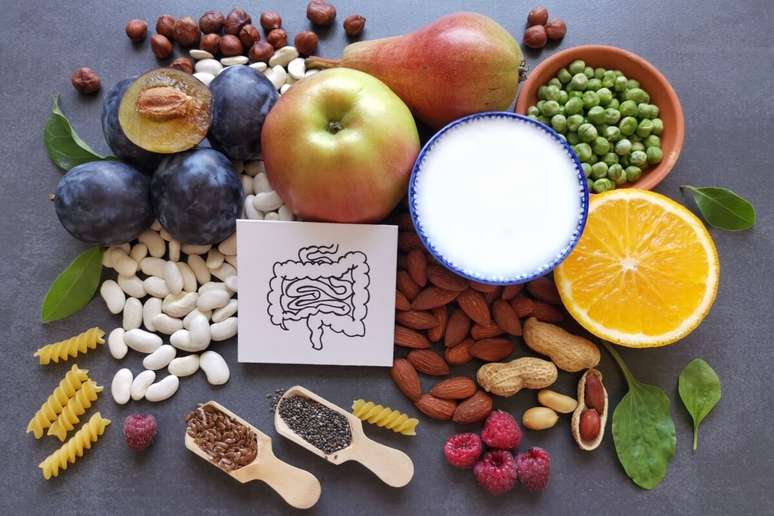 Um intestino saud&aacute;vel &eacute; importante para controlar os processos inflamat&oacute;rios 