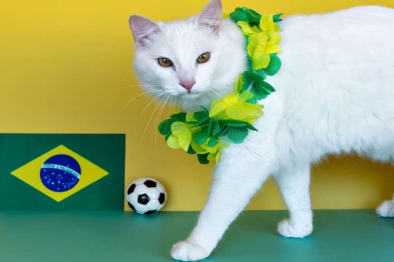 &ldquo;Marta&rdquo;, estrela do futebol brasileiro, pode ser o nome ideal para gatas determinadas e que &ldquo;tomam conta do peda&ccedil;o&rdquo; 