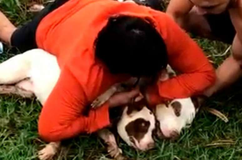 Chaves conseguiu imobilizar cachorros ao ser atacado em MS