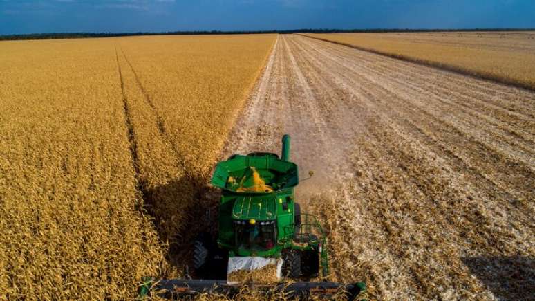 O governo elevou as taxas de juros entre 1,5 ponto porcentual e 2 pontos porcentuais, para 8,5% a 14% ao ano no Plano Safra empresarial para 2025/26