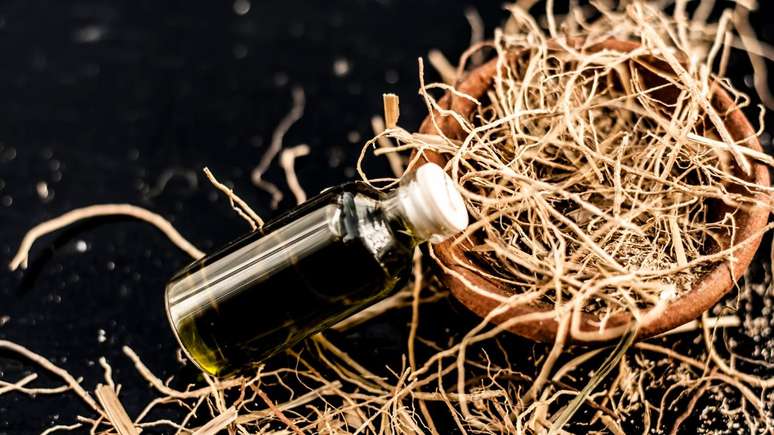 Vetiver: the essential oil of root and presence