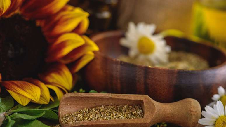 Carne vegana de girassol