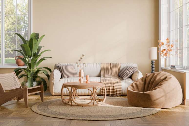 3 suggestions for the use of plants in home decoration