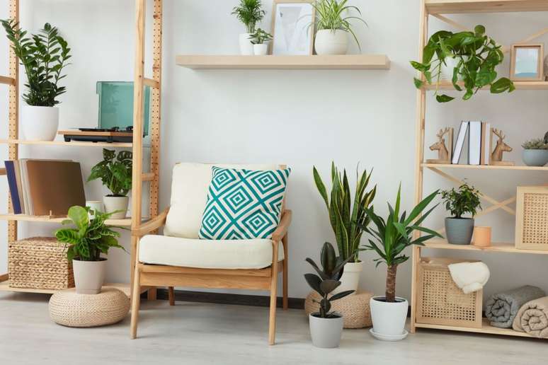 Plants bring life to decoration and refresh the environment 