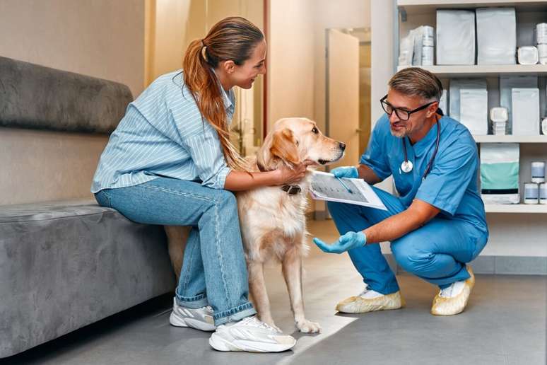 8 tips to choose the best veterinarian for your pet 8 tips to choose the best veterinarian for your pet