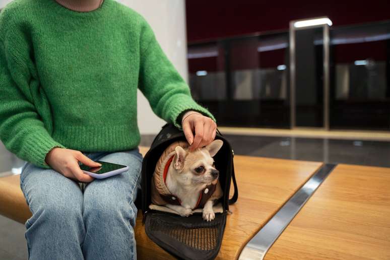 What to consider when choosing a hosting for your animal