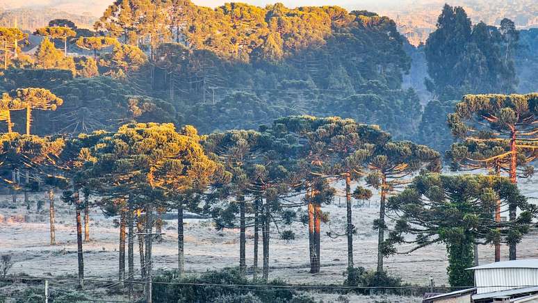 Em Bom Jardim da Serra (SC), os termômetros marcaram -9,7ºC