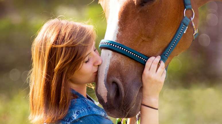The study stresses that horses recognize human emotions; Know more