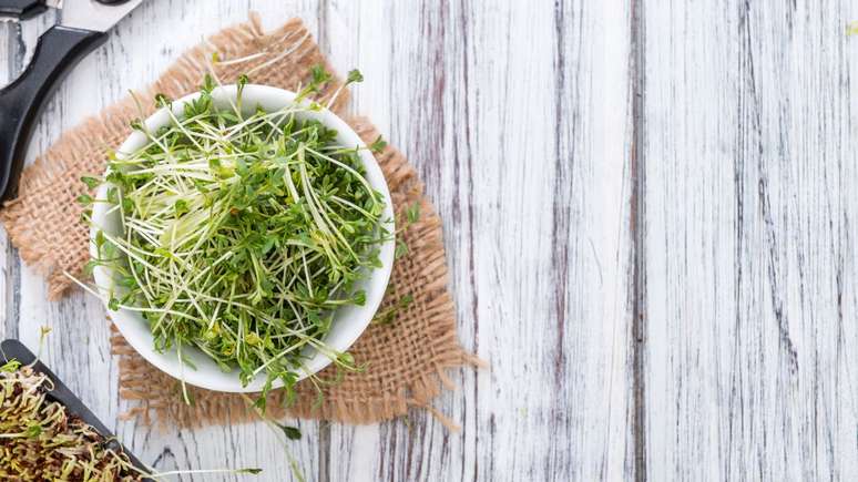 Cress Watercress: Check your health benefits