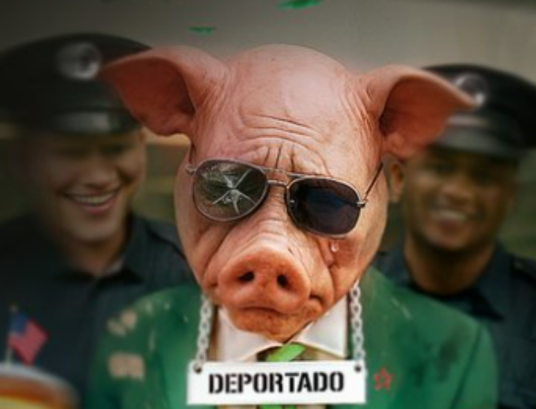 Palmeiras é deportado dos Estados Unidos