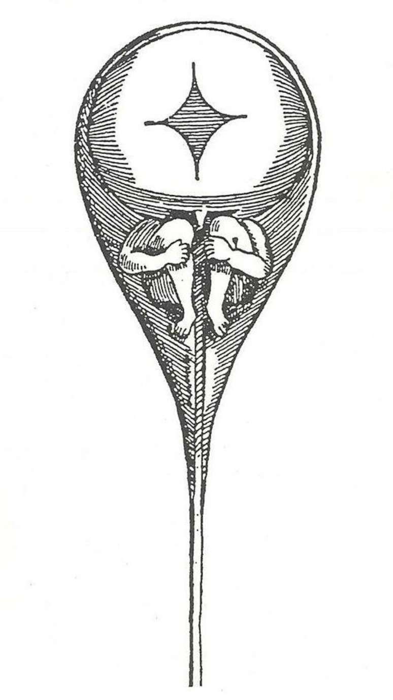 O microbi&oacute;logo holand&ecirc;s Anton van Leeuwenhoek (1632-1723) acreditava que um ser humano min&uacute;sculo, mas completo, vivia em cada espermatozoide