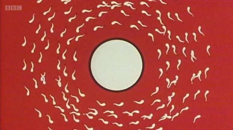 Os pesquisadores atuais est&atilde;o tentando descobrir a identidade e a fun&ccedil;&atilde;o das prote&iacute;nas da superf&iacute;cie celular que podem ser respons&aacute;veis pelo reconhecimento, liga&ccedil;&atilde;o e fus&atilde;o entre o espermatozoide e o &oacute;vulo