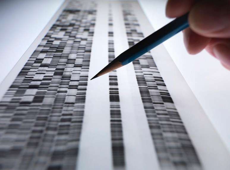 Em 2007, pesquisadores da Scripps Research lançaram o estudo que chamaram de Wellderly para descobrir os 'segredos genéticos' do envelhecimento saudável (Foto genérica)