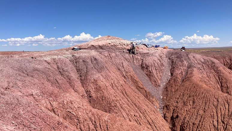 O antigo leito de ossos fica no Parque Nacional da Floresta Petrificada, no Arizona