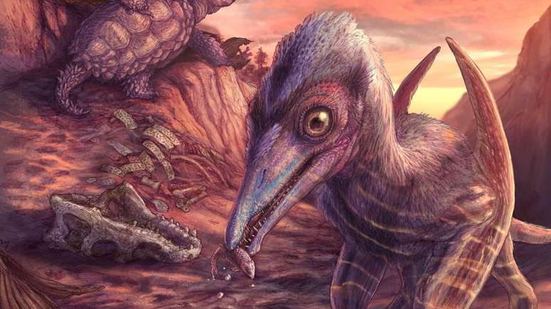 O novo pterossauro foi chamado de Eotephradactylus mcintireae, que significa 'deusa do amanhecer com asas de freixo'