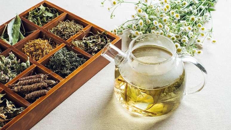 Rotina agitada? Confira 5 opções de chás que podem ser grandes aliados na busca por mais calma e menos estresse