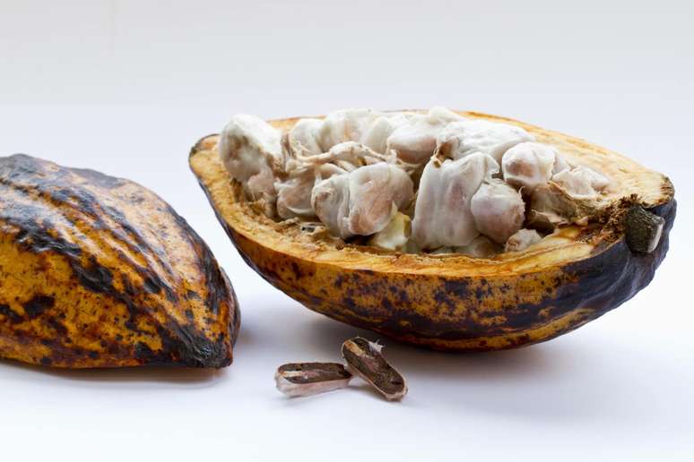 10 indispensable foods for those who want to lose weight 10 indispensable foods for those who want to lose weight