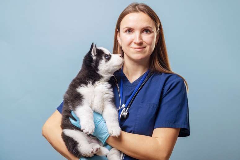 O sistema imunológico em formação torna os filhotes de pets mais suscetíveis a infecções, vírus e bactérias