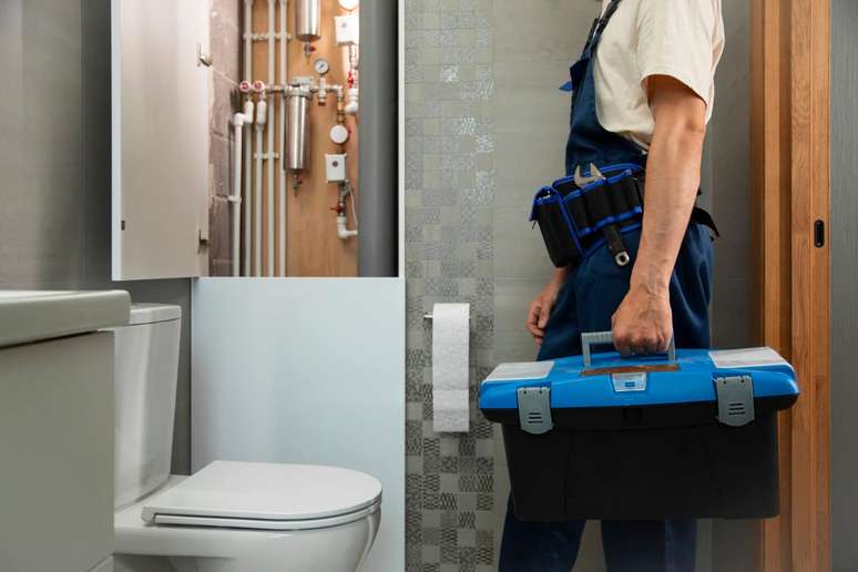 What to observe before choosing a plunger in San Paolo
