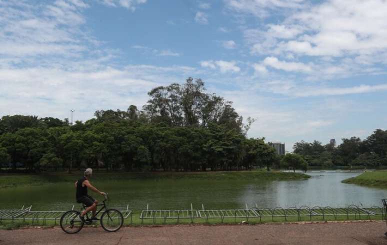 Exames indicaram gripe aviária em dois animais silvestres do Parque do Ibirapuera.