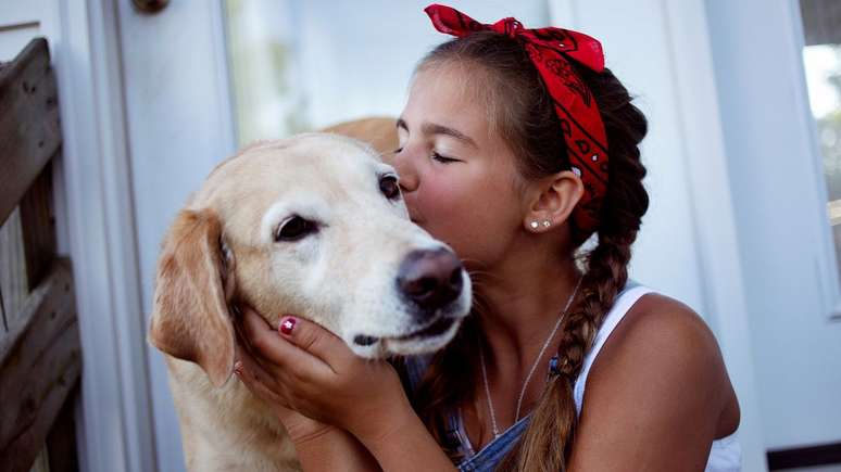 Laços afetivos que ativam o cérebro: relações emocionais com um pet podem ser uma forma natural de estimulação mental, diz estudo