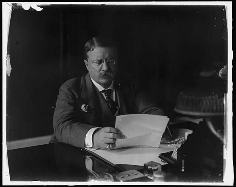 Theodore Roosevelt 