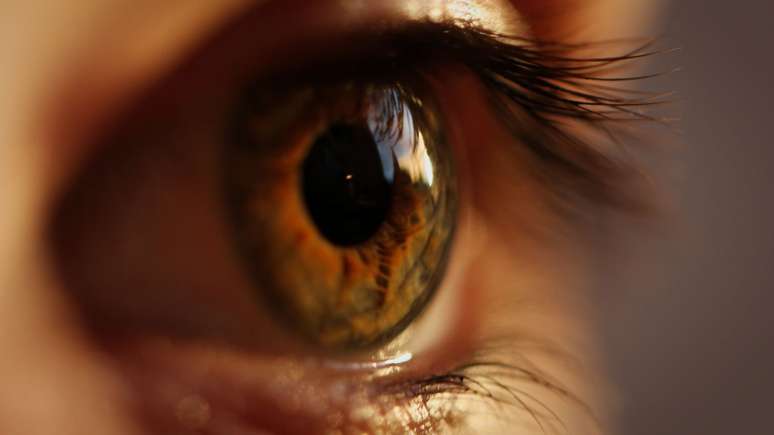 Prevenção à degeneração ocular depende de nutrição equilibrada e atenção diária à saúde dos olhos